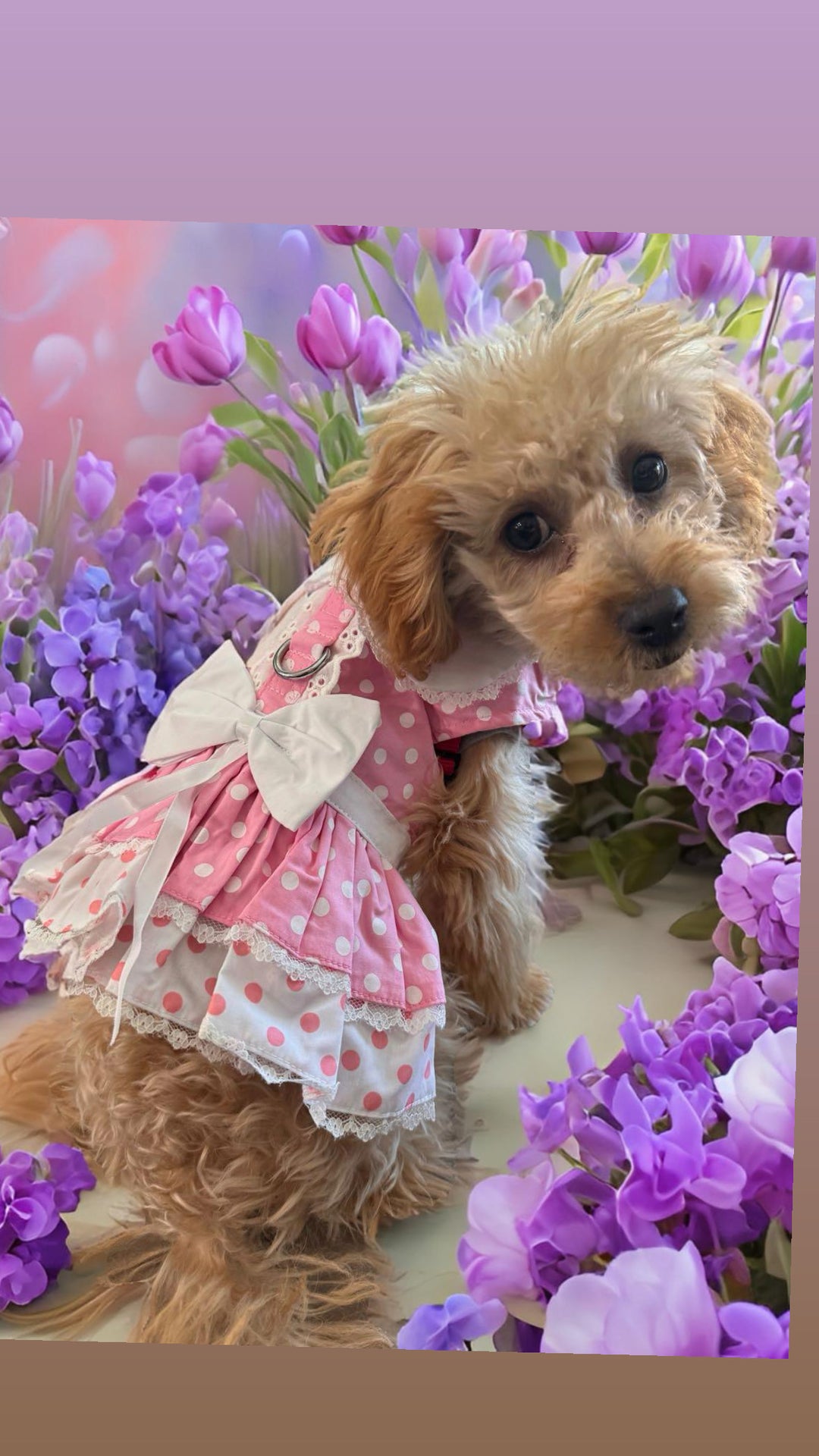 Pink & White Polka Dot Harness Dress