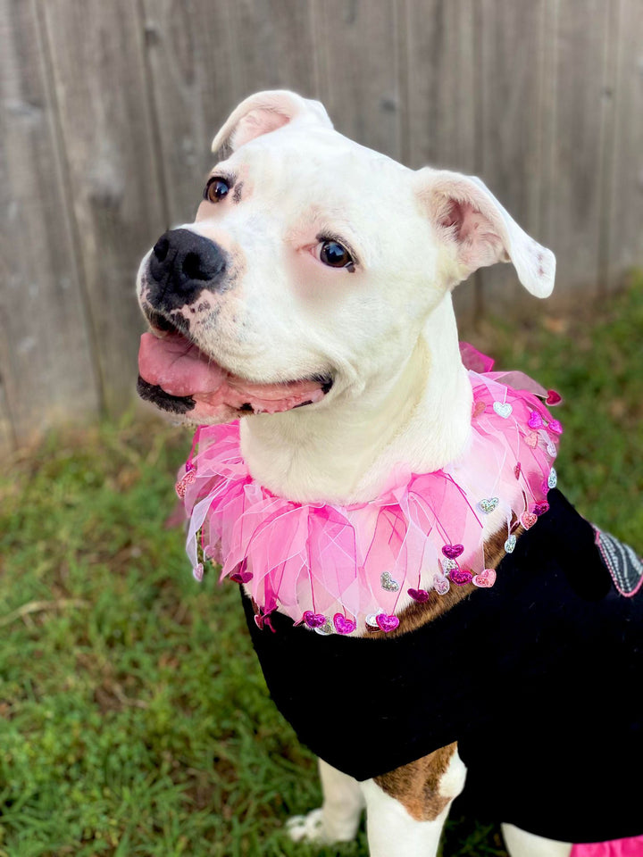 Easter Dog Smoocher