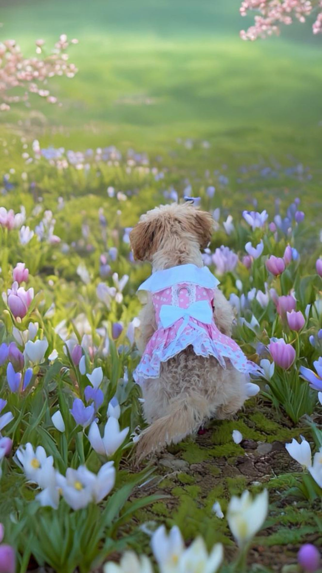 Pink & White Polka Dot Harness Dress