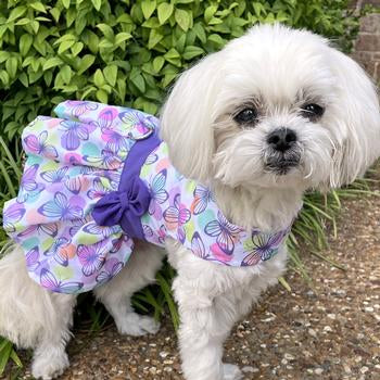 Purple Butterfly Dress