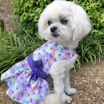 Purple Butterfly Dress