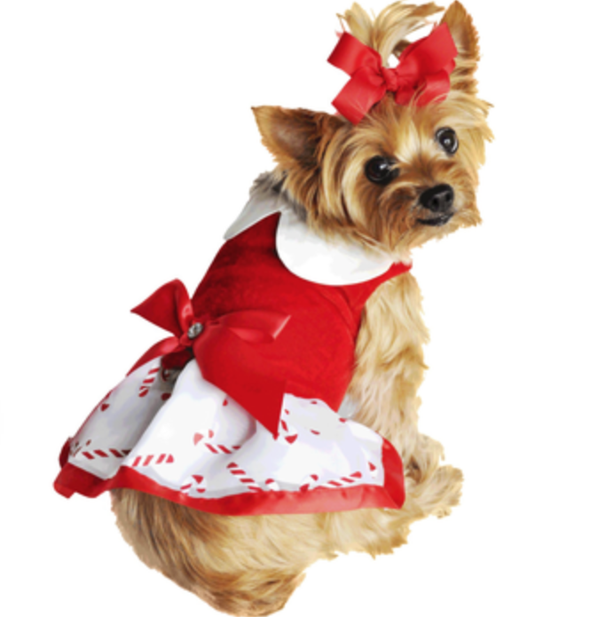 Festive Holiday Pet Dress: Candy Cane Harness Dresses with Matching Leashes