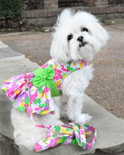 Pink Hawaiian Floral Dog Harness Dress