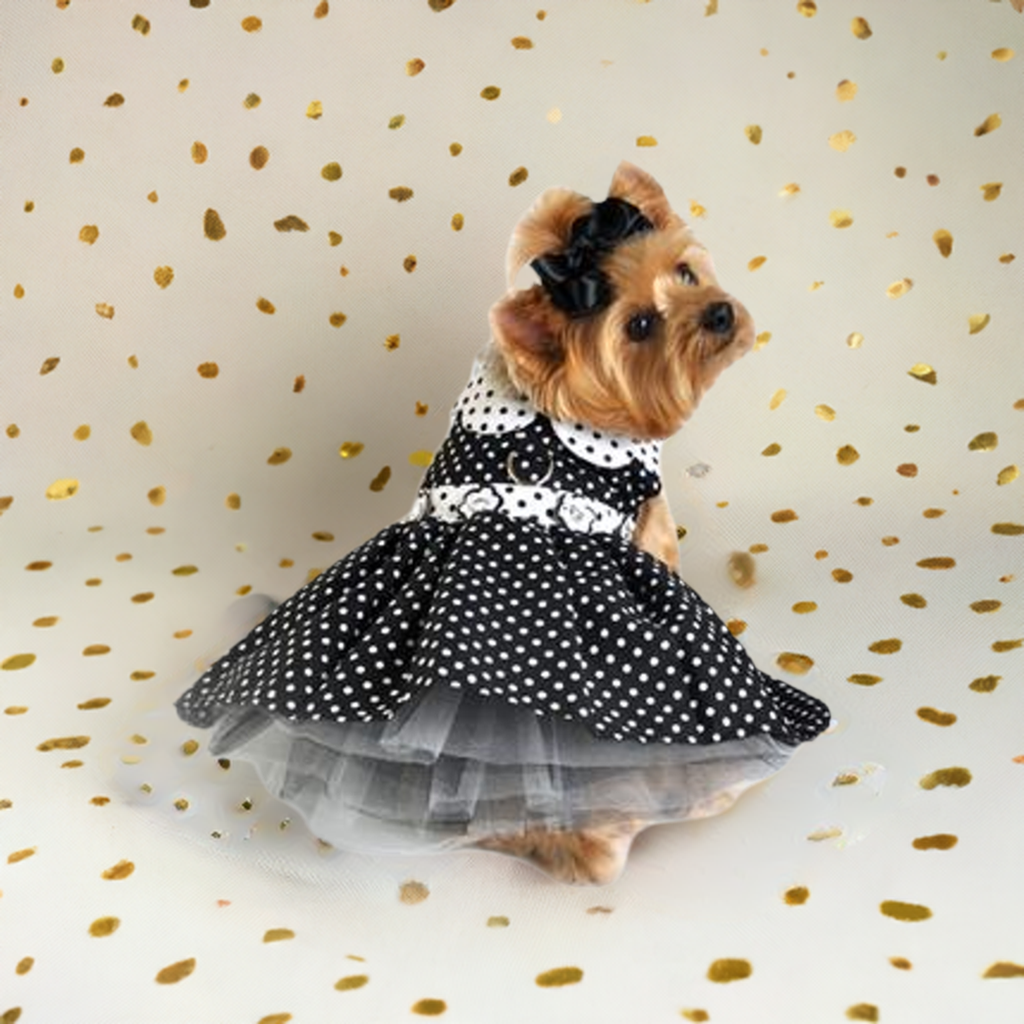 Black and White Polka Dot Harness Dress