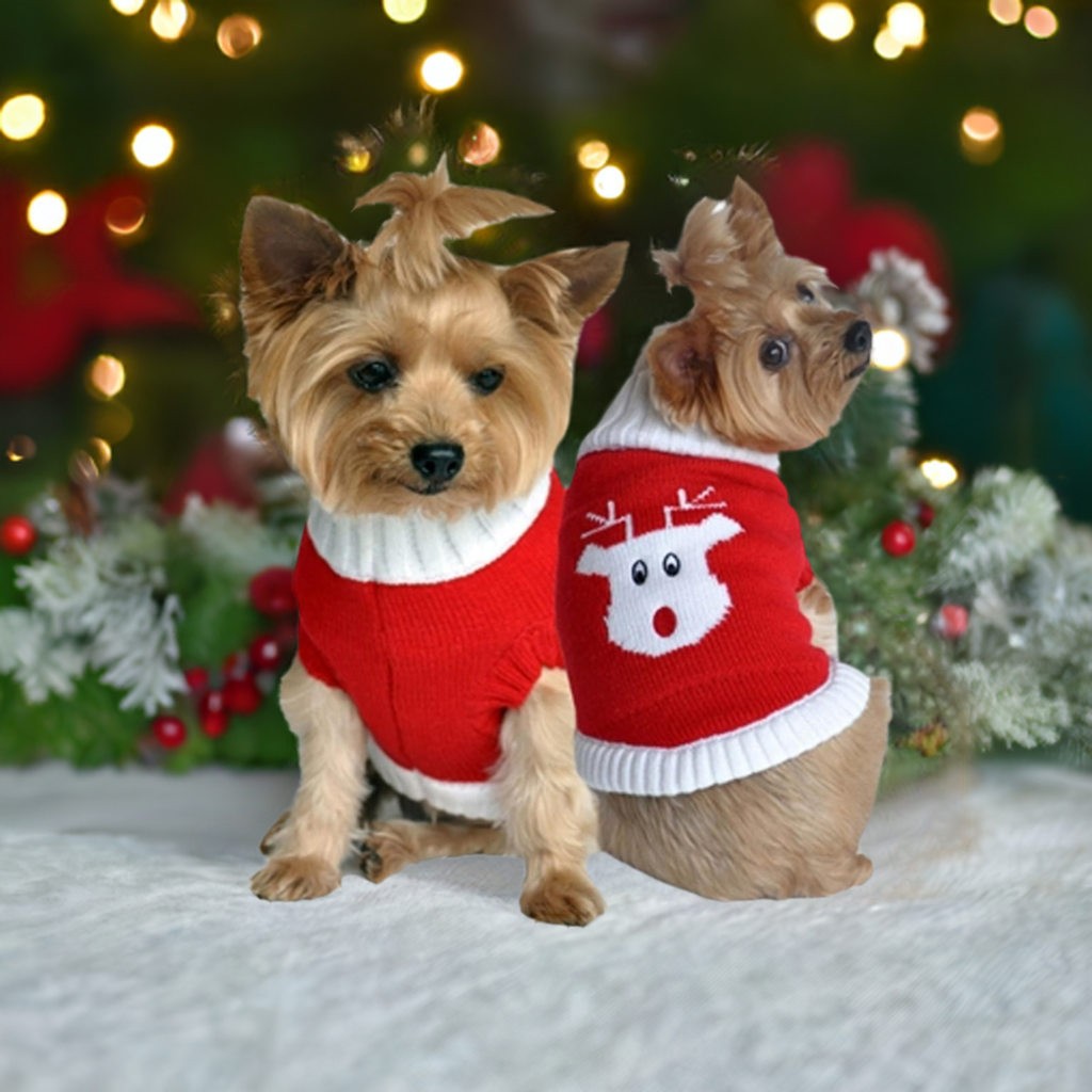 Festive Combed Cotton Holiday Dog Sweaters