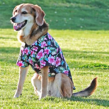 Paradise Nights Floral Hawaiian Dog Shirt