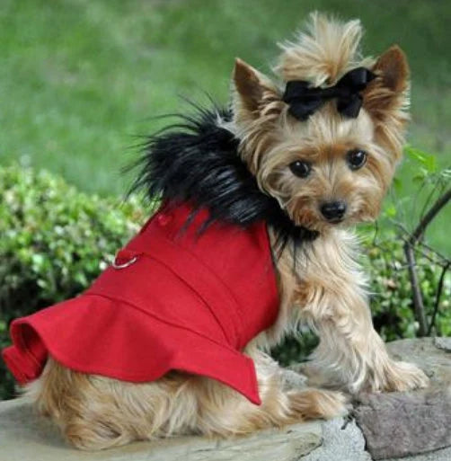 Wool Dog Coat with Faux Fur Collar - Harness Style with Black Fur Trim and Accent Buttons - Elegant Pet Outerwear