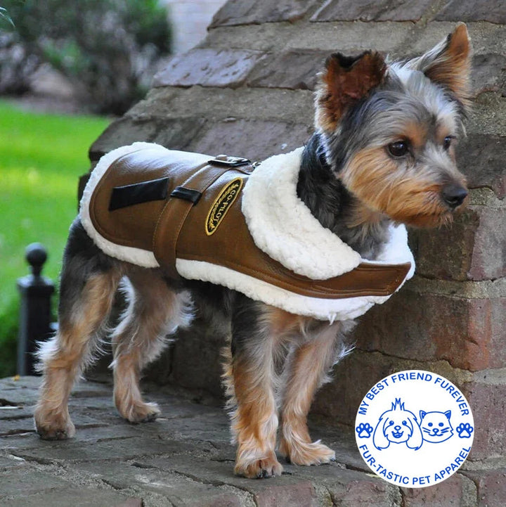 Classic Bomber and Flight Harness Coats for Dogs - Faux Leather with Shearling Lining & Matching Leash