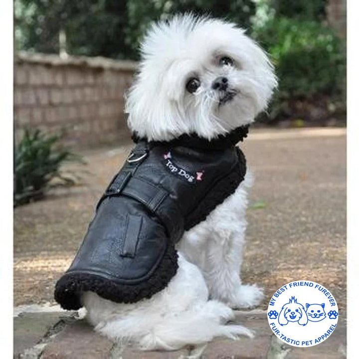 Classic Bomber and Flight Harness Coats for Dogs - Faux Leather with Shearling Lining & Matching Leash