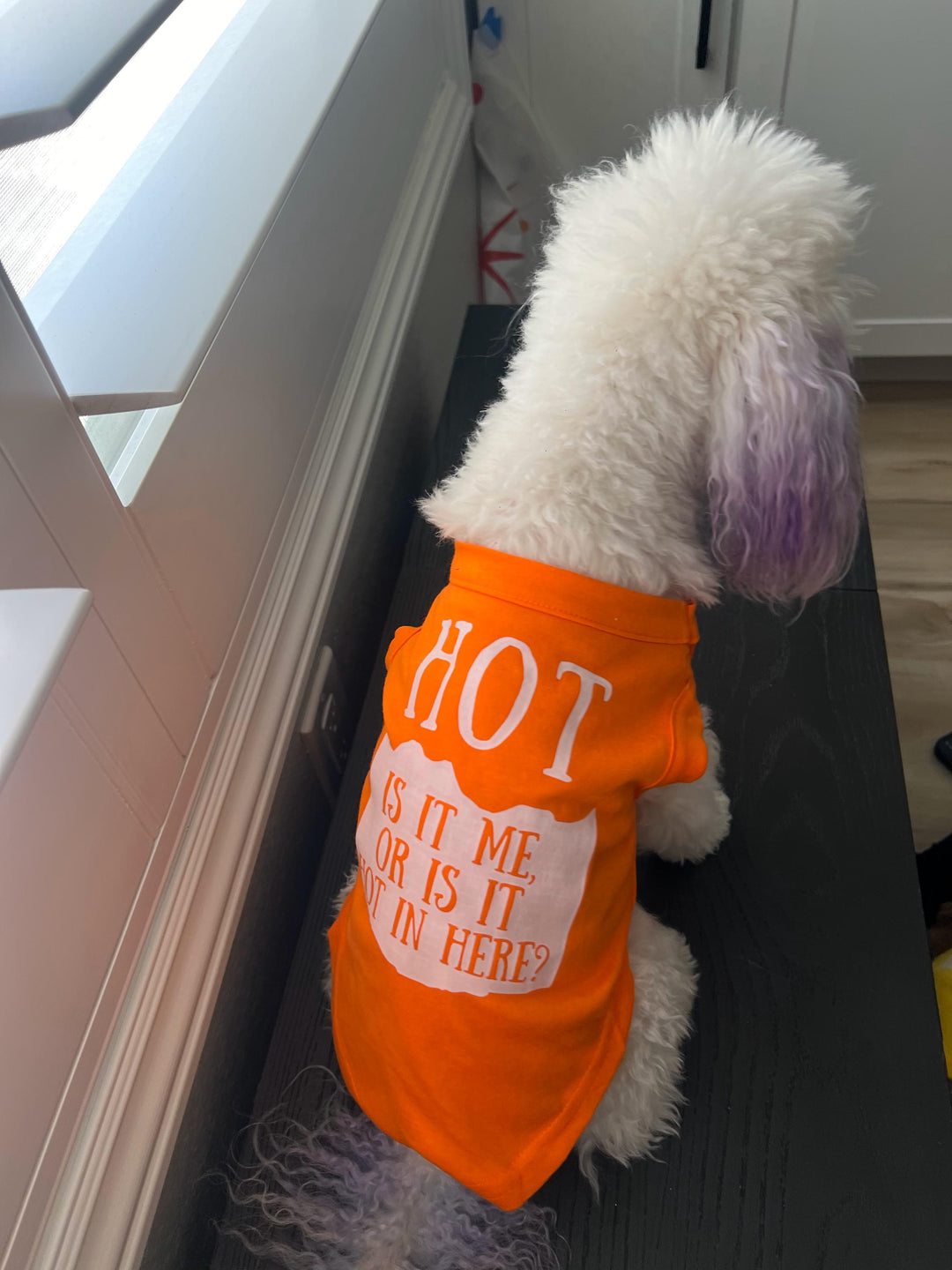 Spicy Pup Shirt: Hot Sauce Wrapper Dog Tee – Choose Your Heat Level-Halloween Dog Shirt