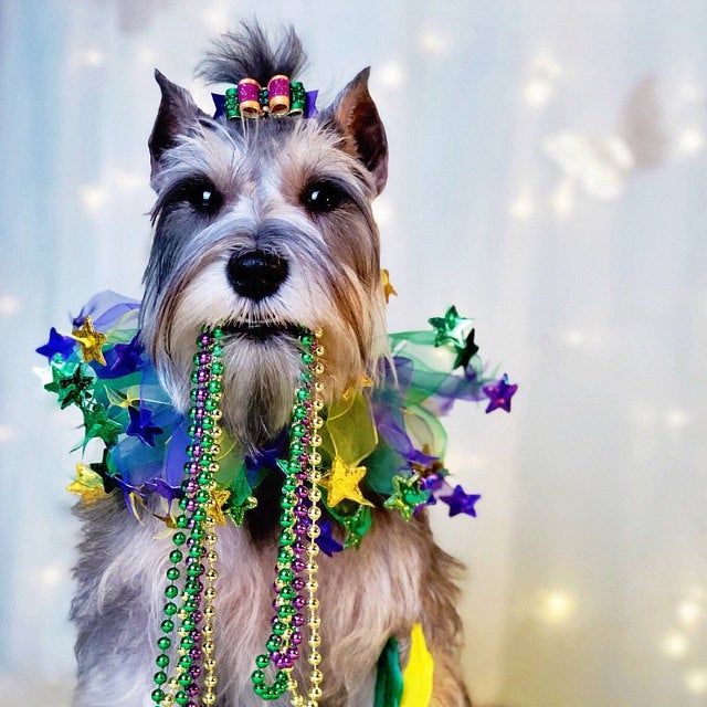 Easter Dog Smoocher