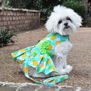 Pineapple Luau Harness Dress