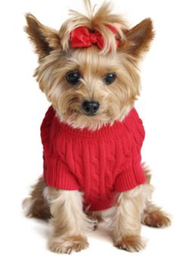 Get ready for the colder months with our classic Cable Knit Sweaters for dogs - perfect for fall and winter!