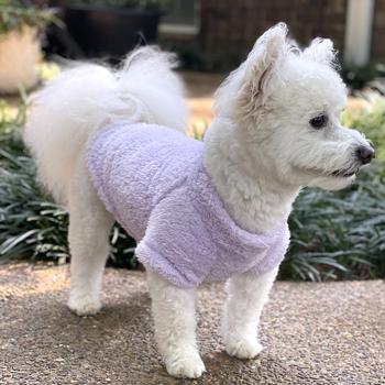 Ultra-Soft Plush Dog Pullover - Comfy & Cute Pet Sweater for All Sizes